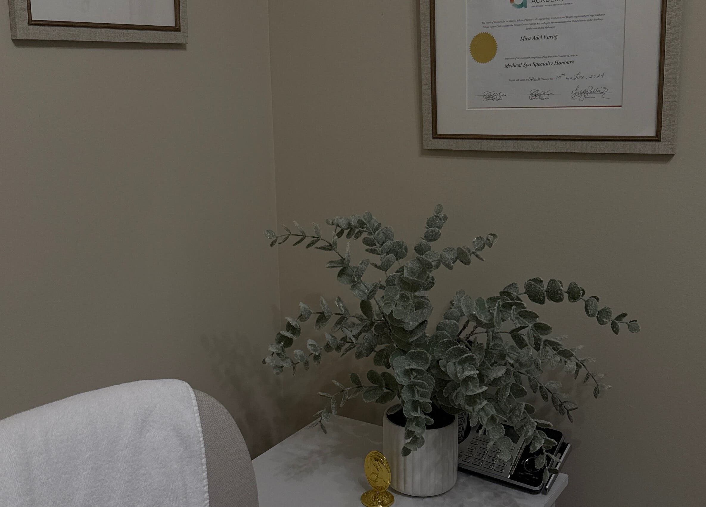 Calming decor and diploma in Mira Beauty's Ottawa, Ontario, CA consultation room.