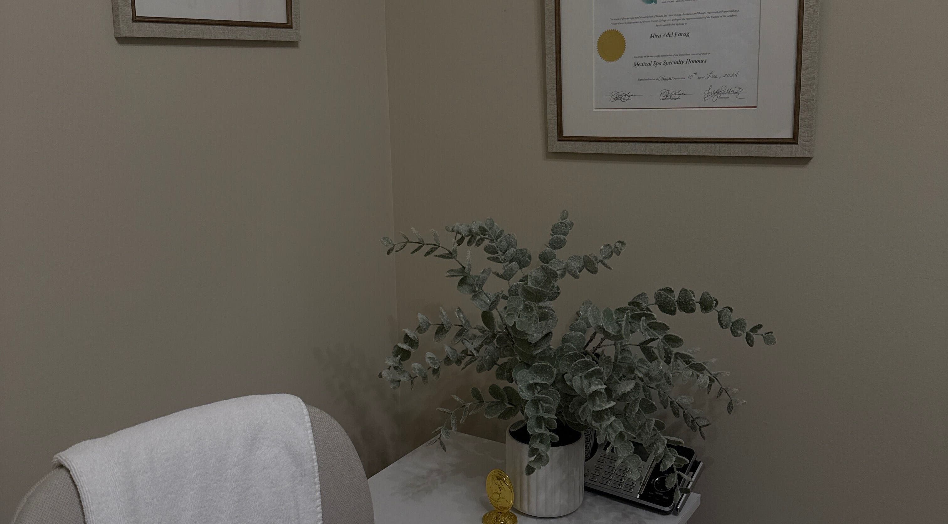 Calming decor and diploma in Mira Beauty's Ottawa, Ontario, CA consultation room.