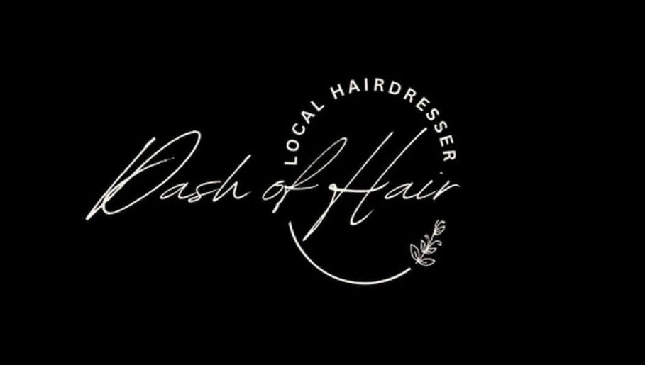 Dash Of Hair изображение 1