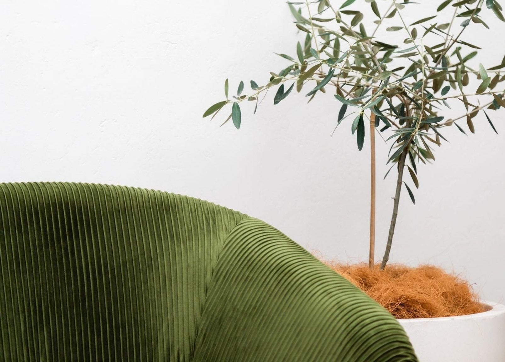 Luxurious green chair and potted plant at Queensland Cosmetic Tattooing, Kingaroy, Queensland, AU.
