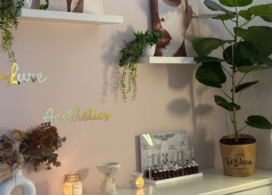 Coco Luxe Skin Aesthetics corner with decor and plant in Cape Town, Western Cape, ZA.