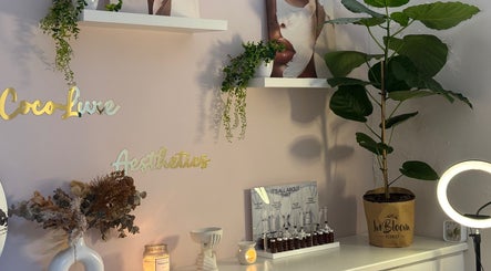 Coco Luxe Skin Aesthetics corner with decor and plant in Cape Town, Western Cape, ZA.