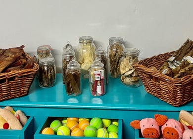 Colorful dog treats and toys at Pretty Pups Dog Spa, Gourock, Scotland, GB, enhancing your pet's spa experience.