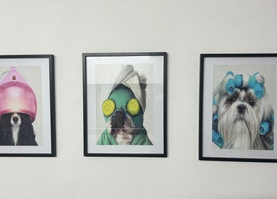 Fun dog spa artwork on display at Pretty Pups Dog Spa, Gourock, Scotland, GB. Perfect ambiance for pet lovers.