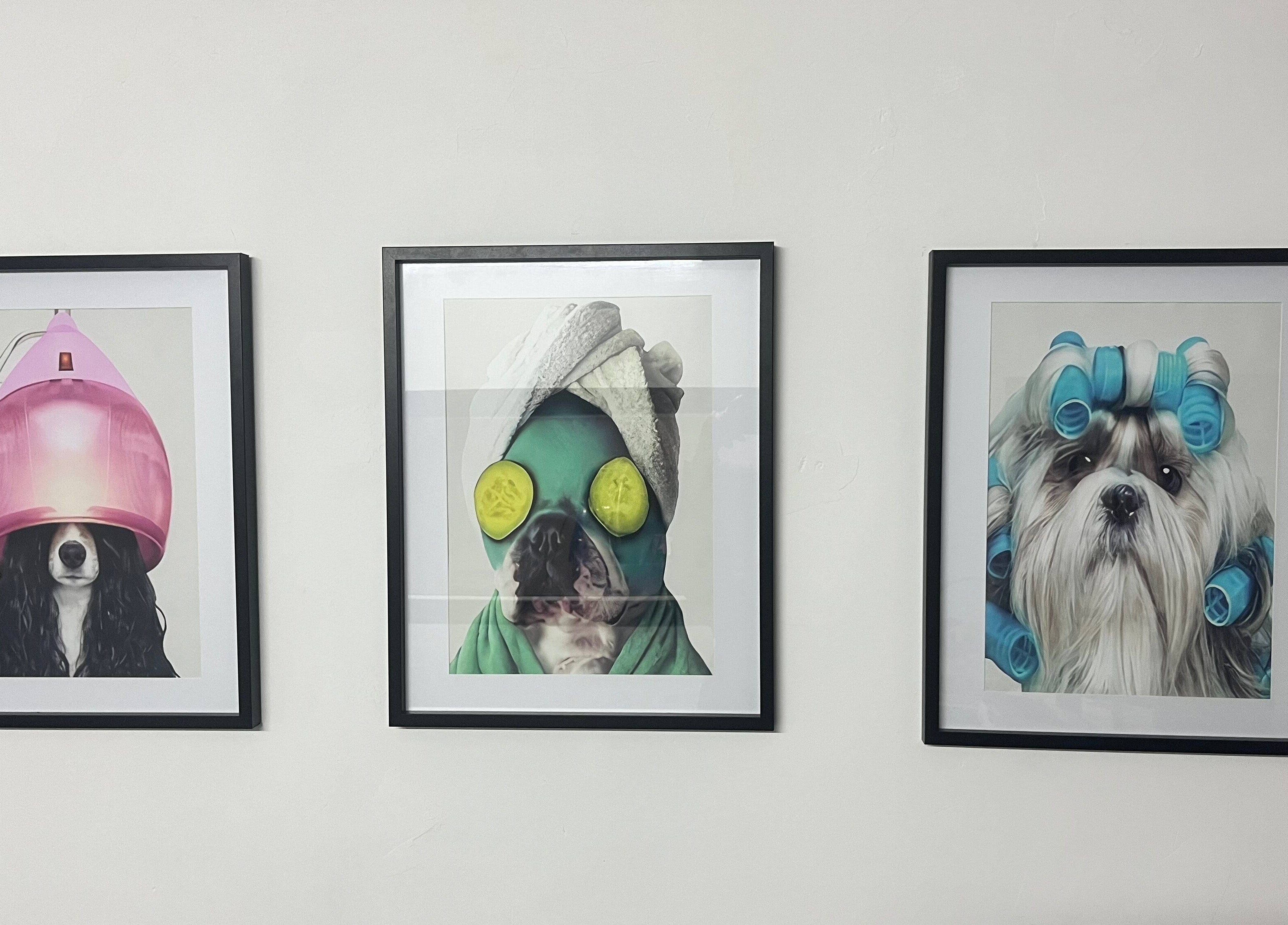 Three framed dog spa art at Pretty Pups Dog Spa, Gourock, Scotland, GB showcasing pampered pets.