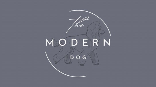 The Modern Dog