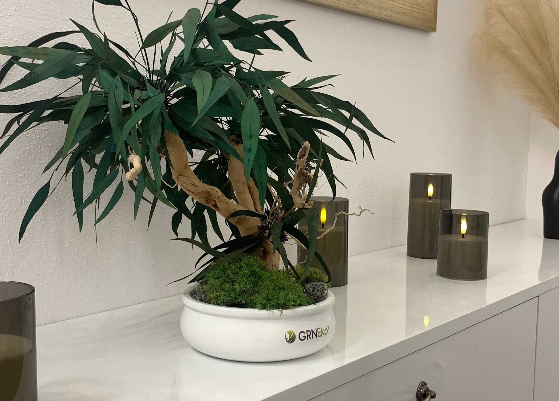 Dekorativní rostlina a svíčky v salonu Vedoma Kozmetika Maryna Vainberh, Bratislavský Kraj, SK.