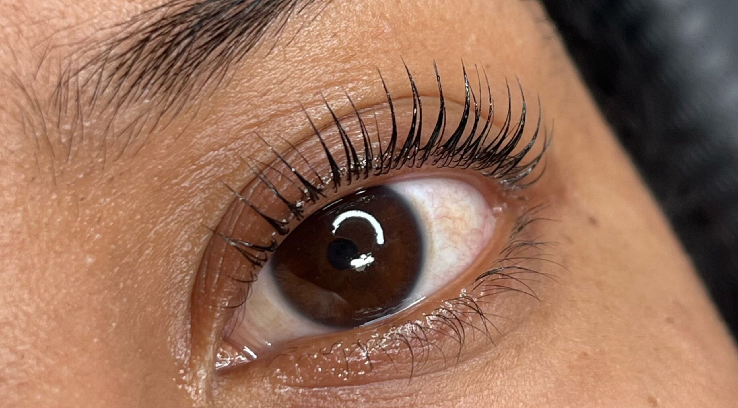 Primer plano de pestañas estilizadas en Fucking Lashes, València, Comunidad Valenciana, ES.