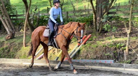 Rānui Stables Equestrian image 3