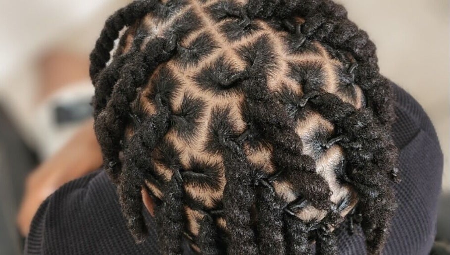 Dreaming in Locs and Braids image 1
