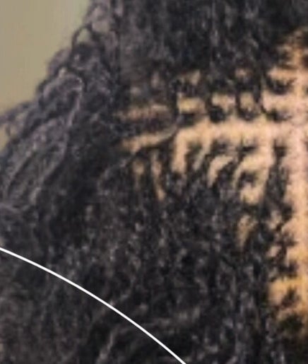 Dreaming in Locs and Braids image 2
