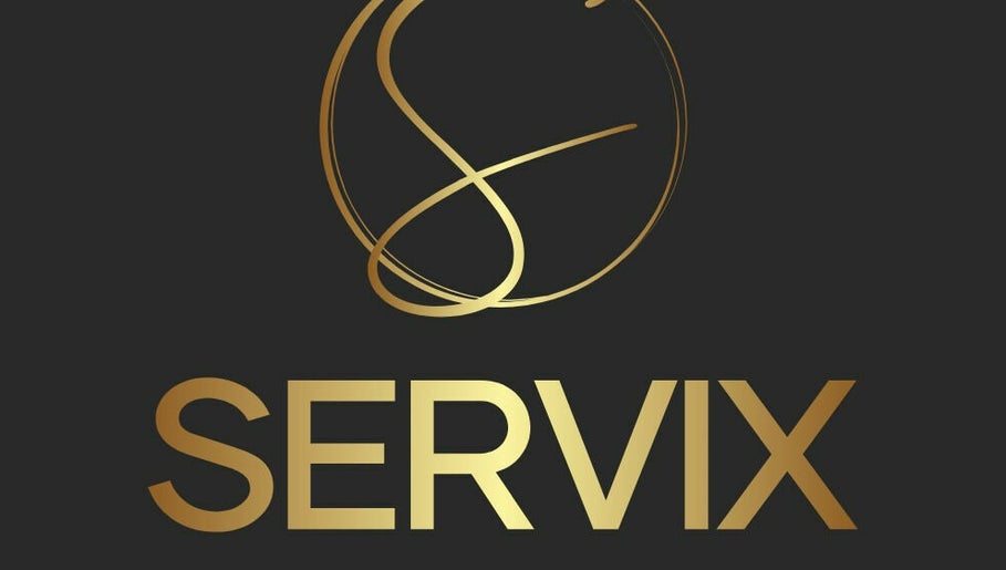 SERVIX LTD image 1