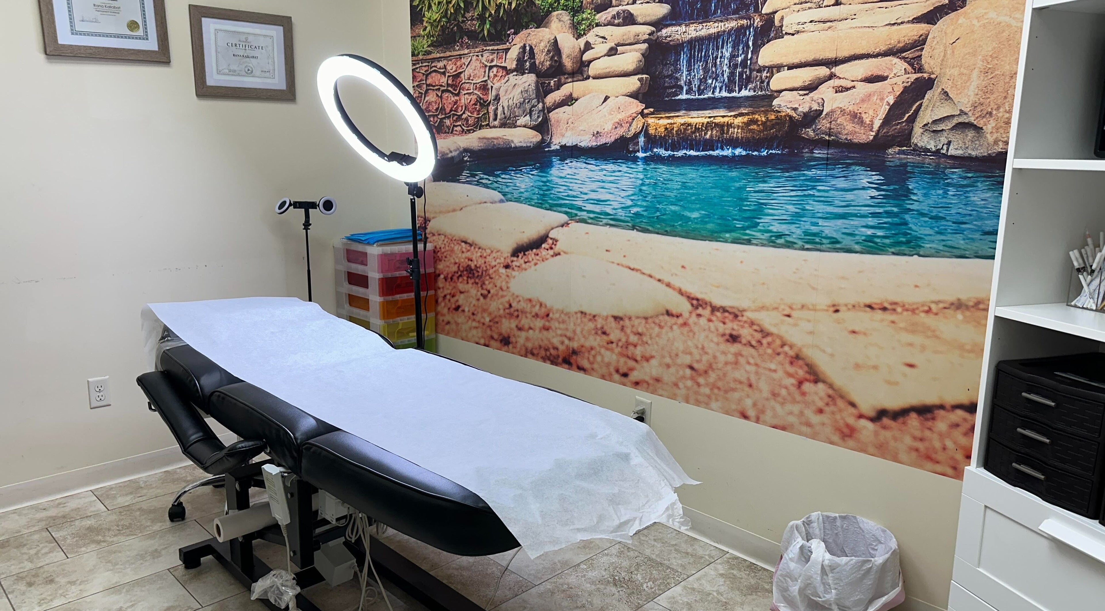 Treatment room at Defining Beauty Spa, Sterling Heights, Michigan, US with tranquil waterfall mural.