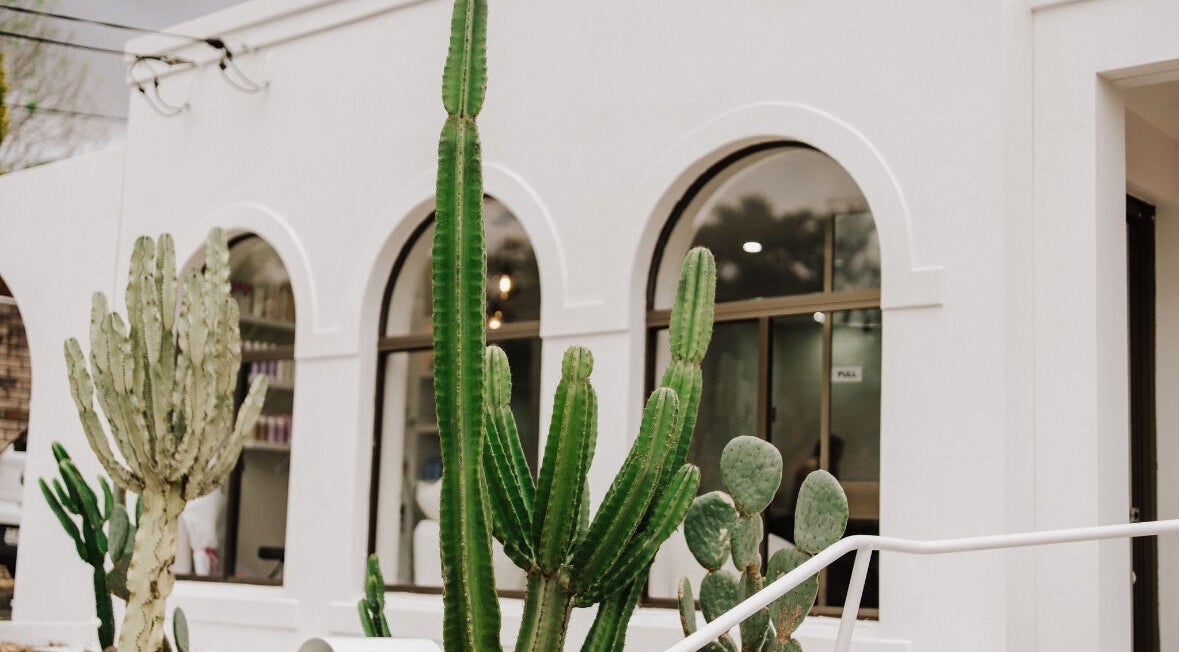Exterior view of KEIRAVILLE THE SALON with cacti, located in Keiraville, New South Wales, AU.