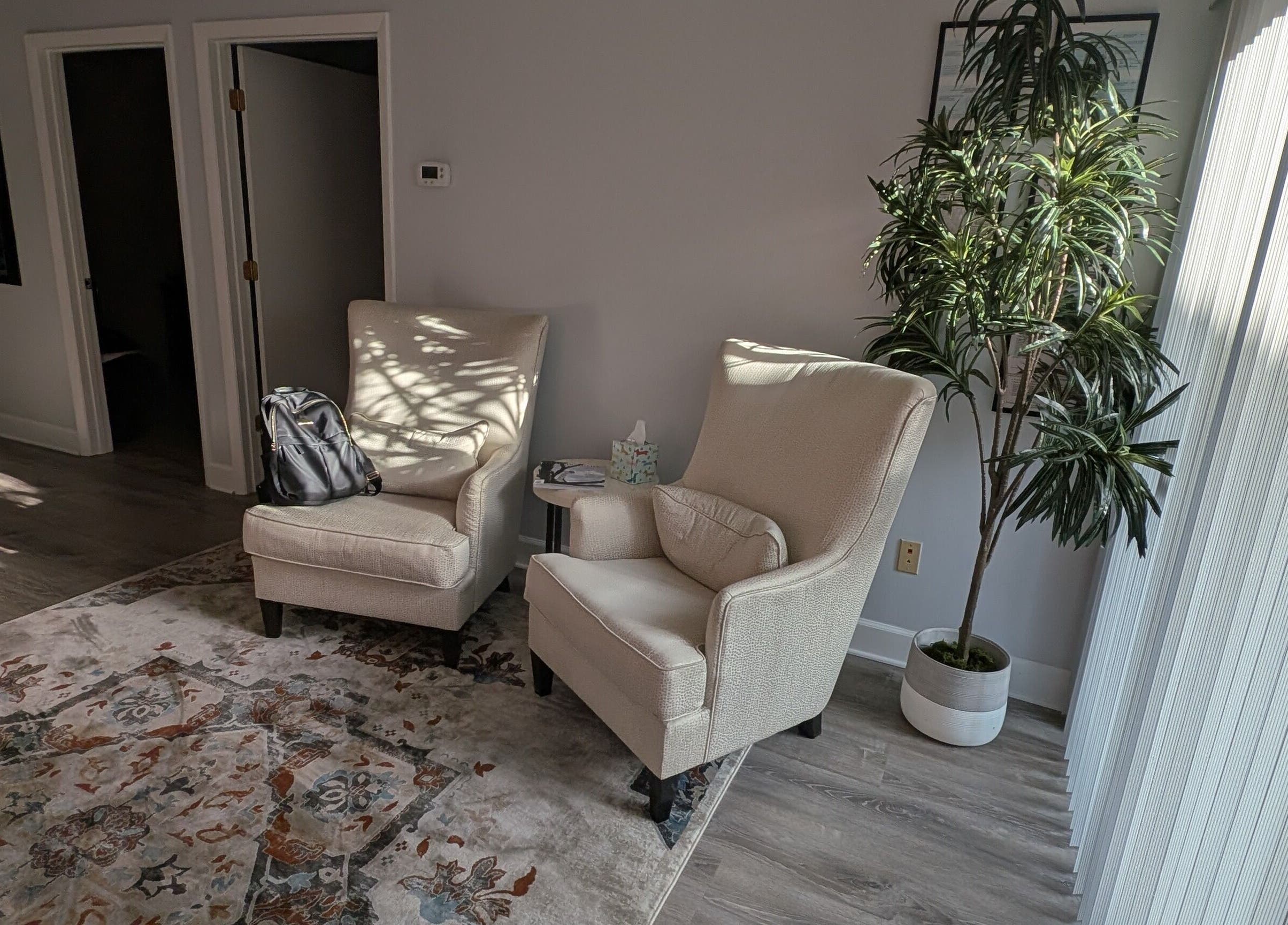 Inviting seating area with chairs and plant at Naples Healing Arts, Naples, Florida, US.
