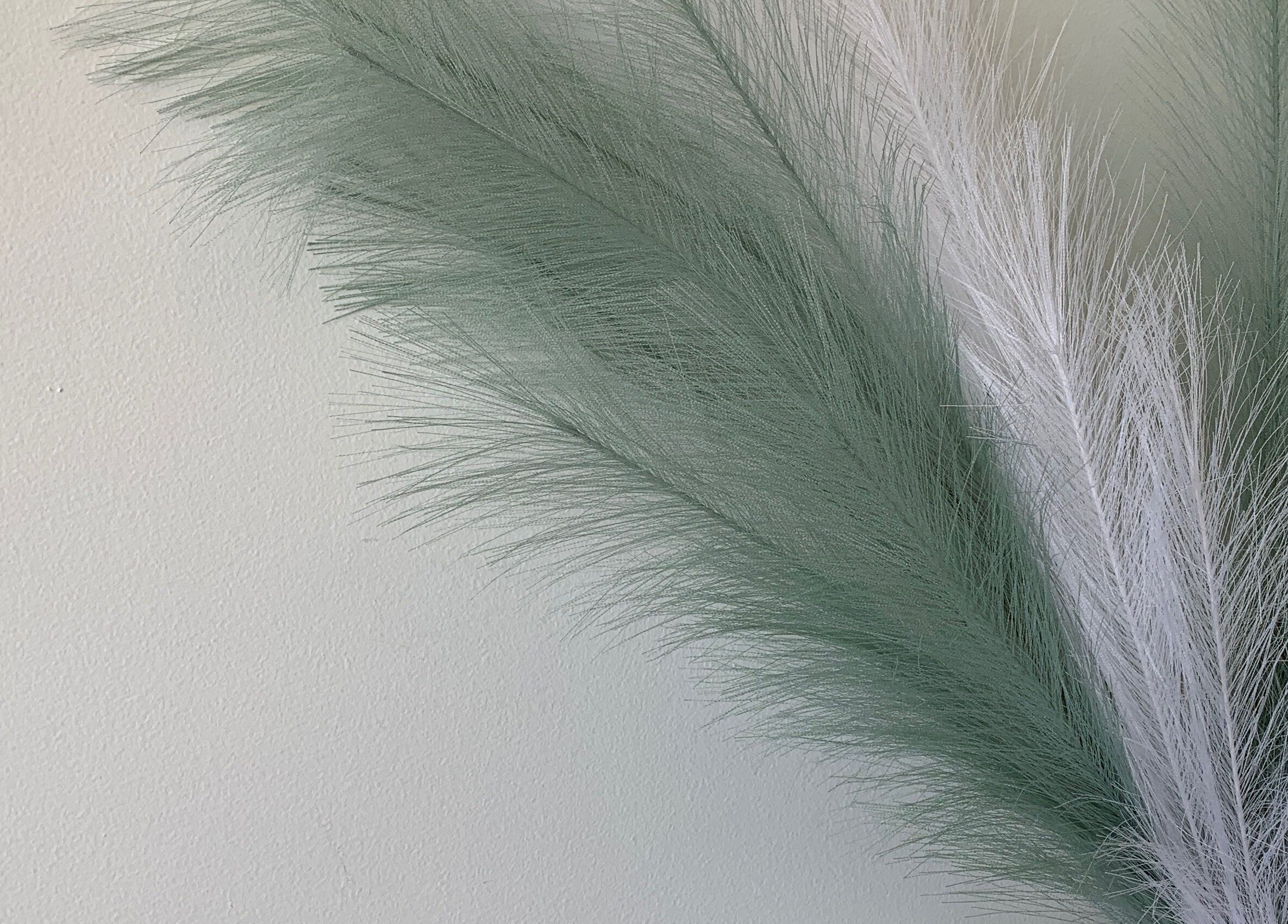 Elegant green and white pampas grass at The Glow Up Room, Kenora, Ontario, CA, creating a calm ambiance.