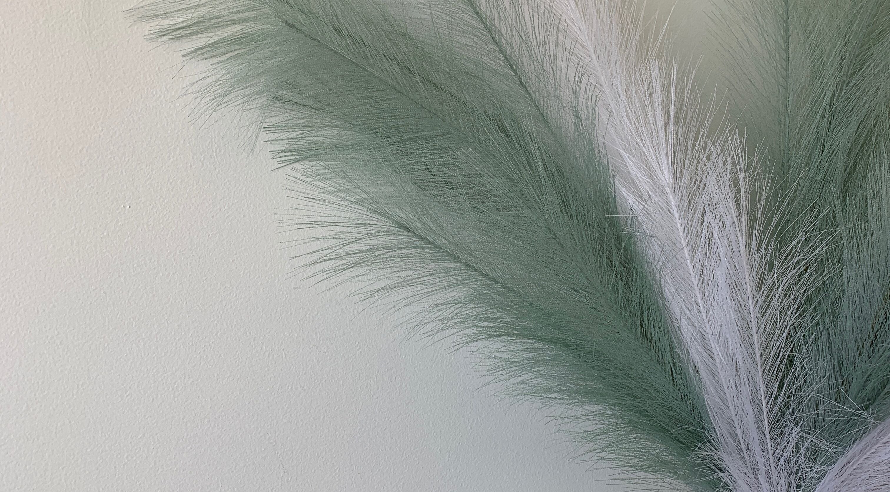 Elegant green and white pampas grass at The Glow Up Room, Kenora, Ontario, CA, creating a calm ambiance.