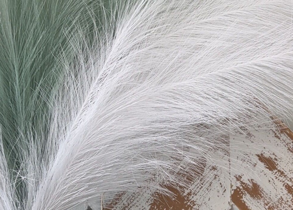 Graceful white and green feathers displayed at The Glow Up Room, Kenora, Ontario, CA.