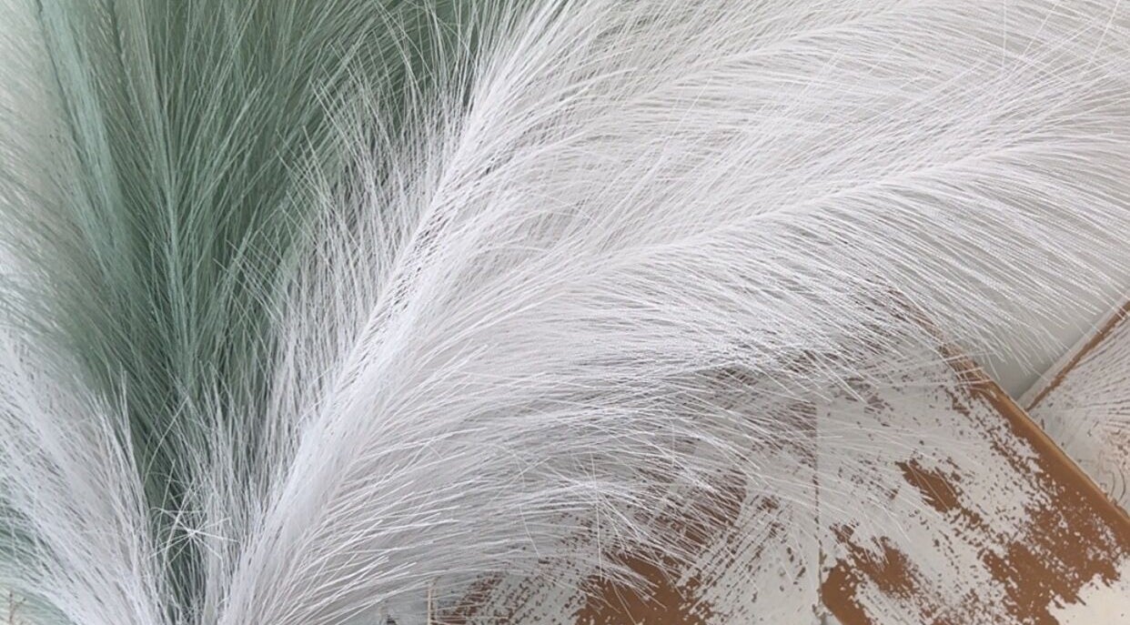 Graceful white and green feathers displayed at The Glow Up Room, Kenora, Ontario, CA.