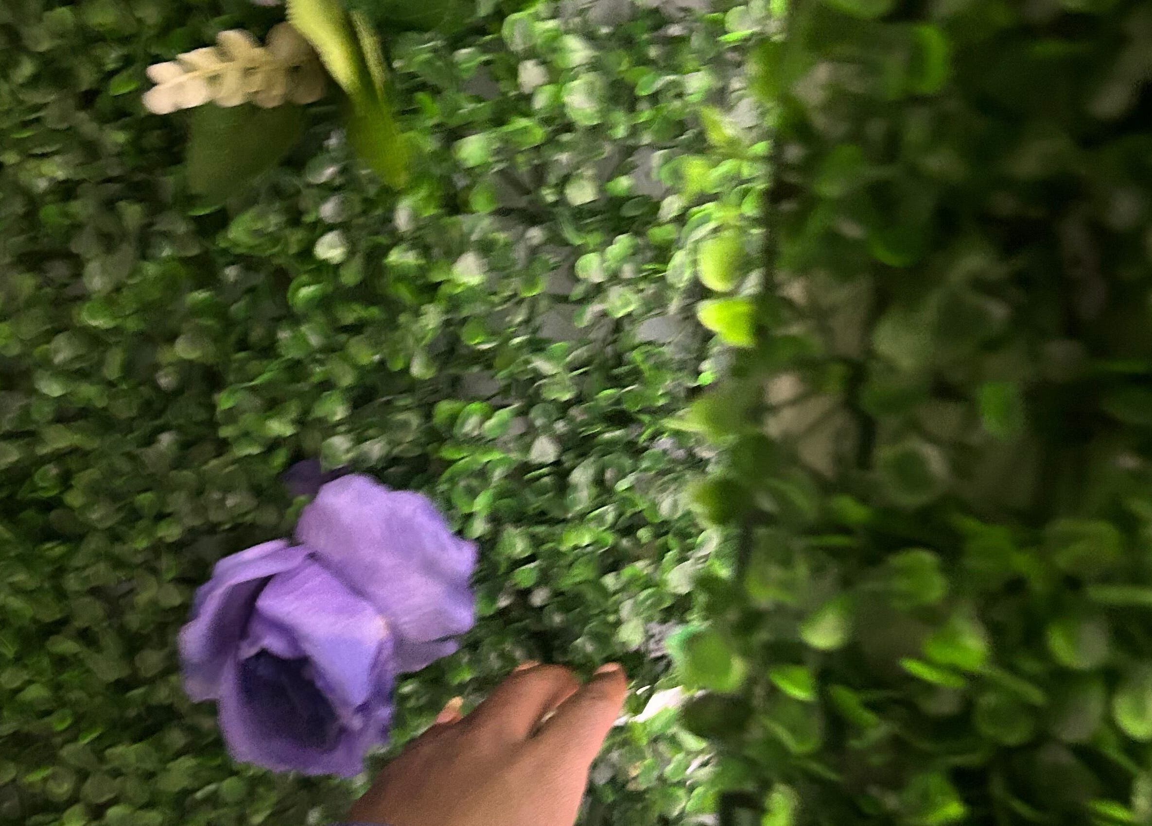 Lush greenery with a purple flower at Face Card Aesthetics, Pretoria, Gauteng, ZA.
