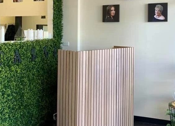 Reception area at Teazed, featuring green wall and wooden counter in Scottsdale, Tasmania, AU.