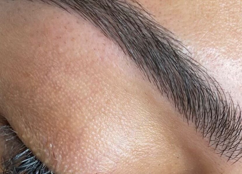 Perfectly shaped eyebrow showcasing precision at Etch of Beauty, Moorebank, New South Wales, AU.