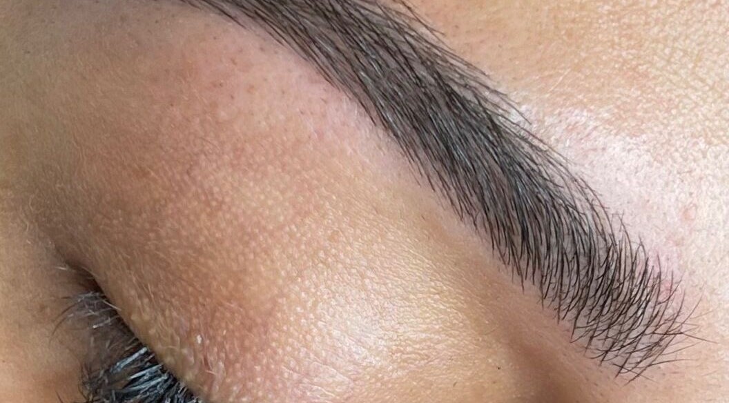 Perfectly shaped eyebrow showcasing precision at Etch of Beauty, Moorebank, New South Wales, AU.