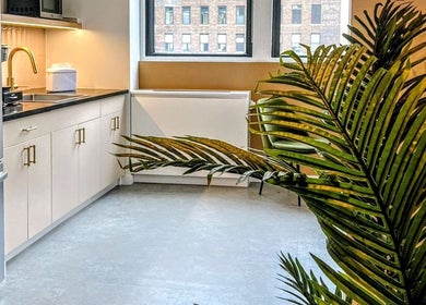 Sleek kitchen at Laser 'n' Beyond - Chelsea NYC, New York, New York, US with modern appliances and greenery decor.