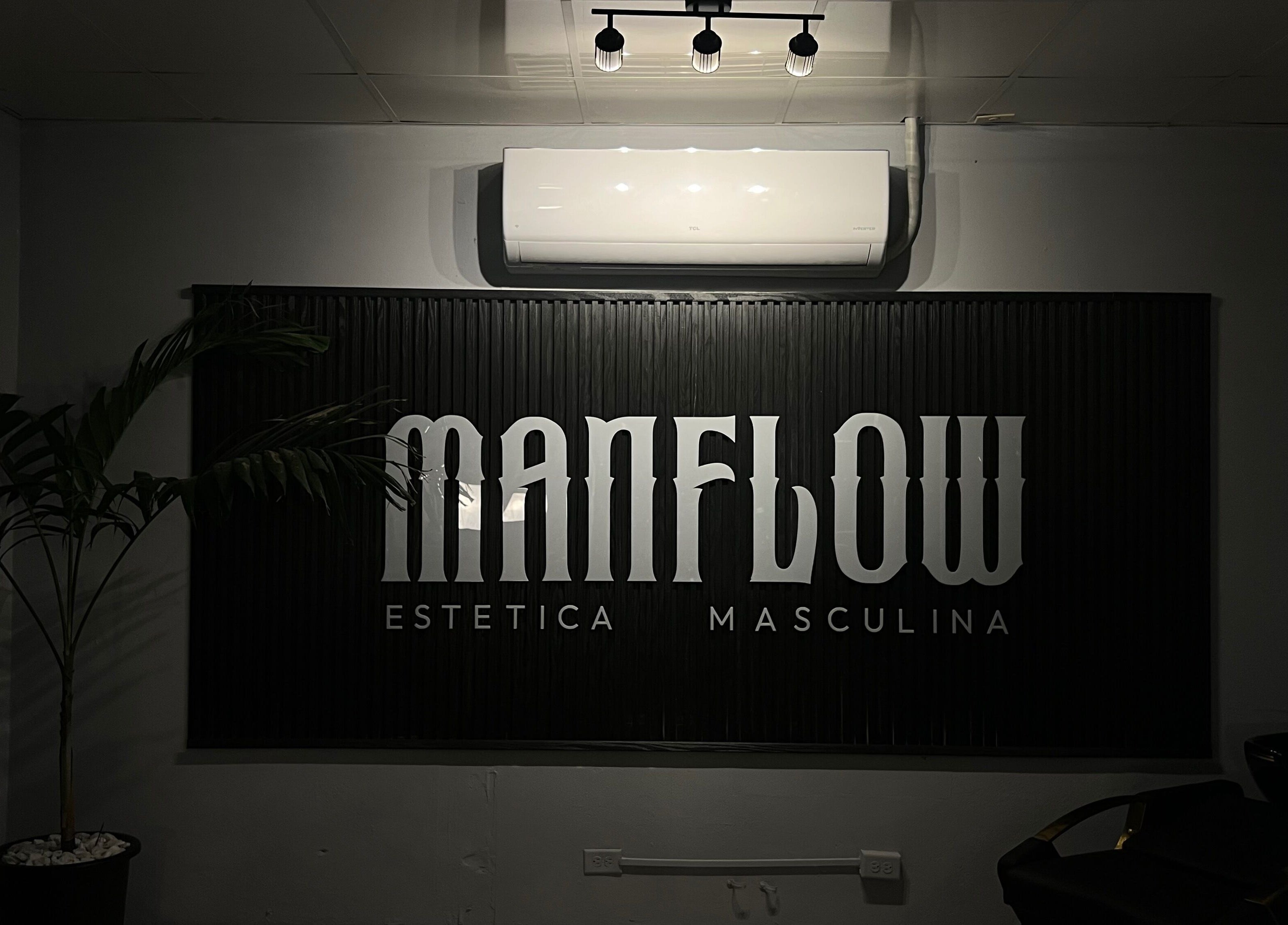 Interior de ManFlow Estética Masculina, Santiago, Provincia De Veraguas, PA, con moderno diseño y vegetación.
