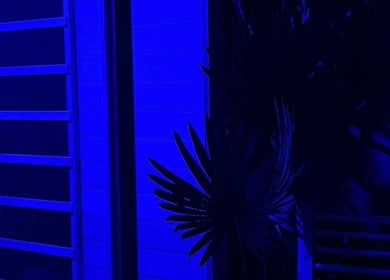 Ambient blue-lit room at Recover by Heat Retreat in Mount Maunganui, Bay Of Plenty Region, NZ with wooden decor.