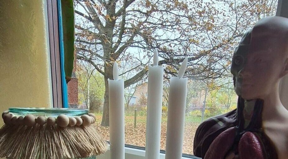 Främja Friskvård AB i Veberöd, Skåne Län, SE med avkopplande ljus och anatomisk modell i fönstret.