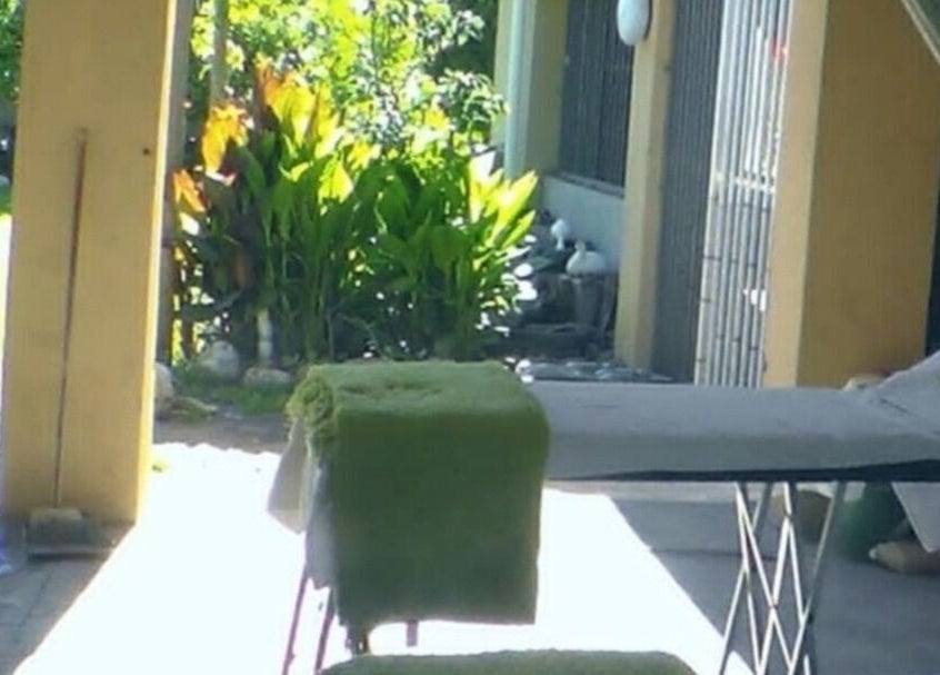 Tranquil outdoor setting at Wolseley Mobile MediSpa, Wolseley, Western Cape, ZA, with greenery and massage table.