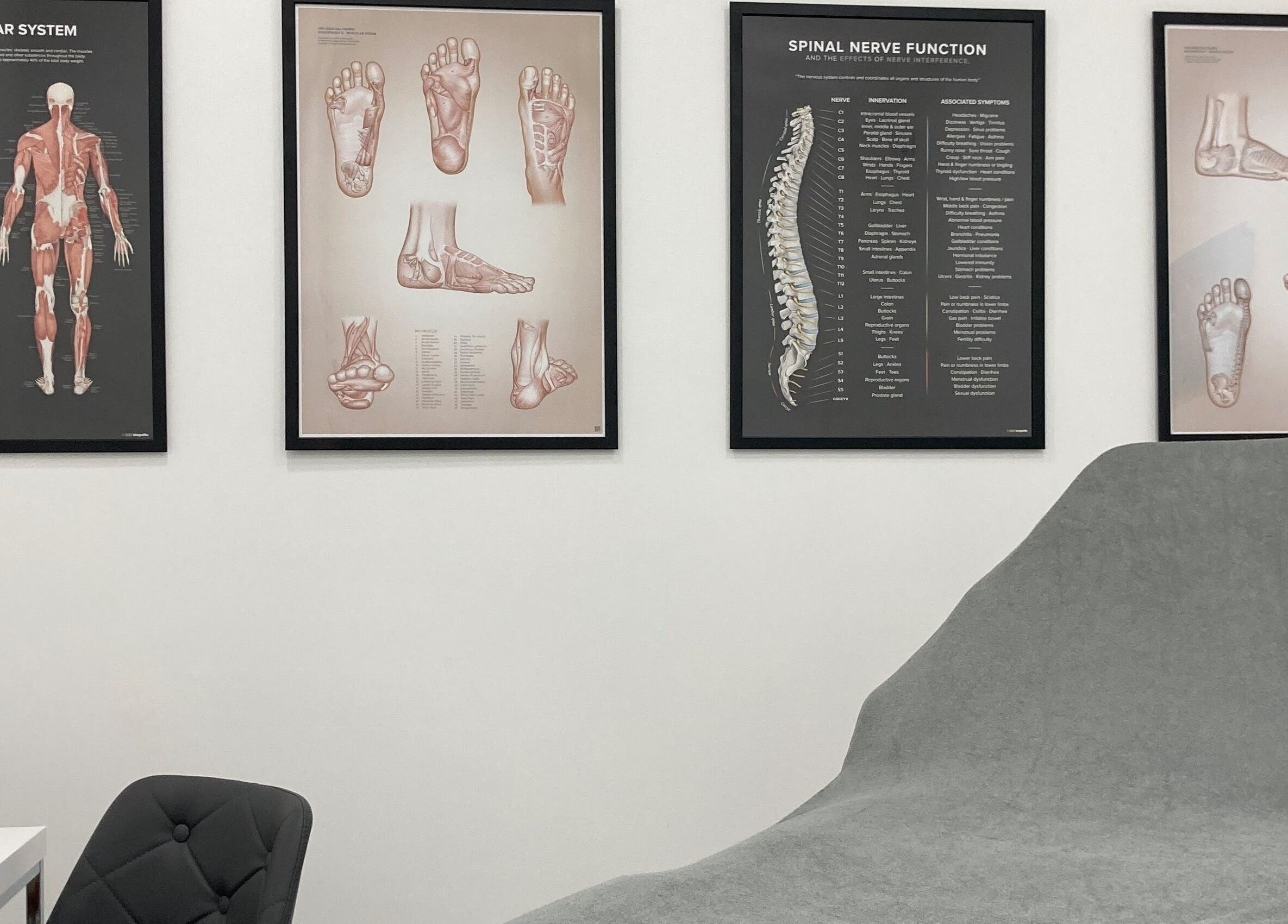 Reflexology Wimbledon therapy room with anatomical charts in London, England, GB.