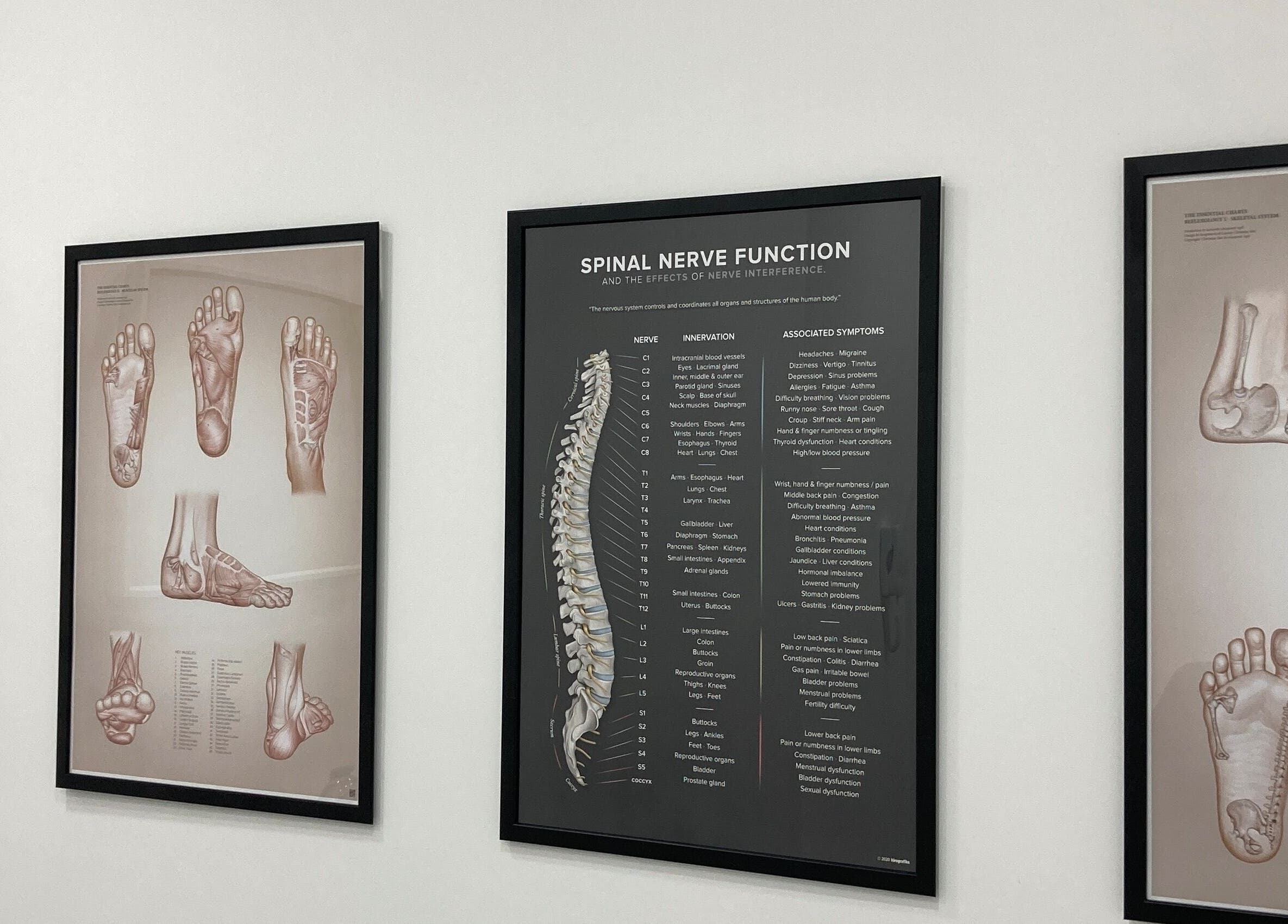 Anatomy posters at Reflexology Wimbledon, London, England, GB, showcasing foot and spine diagrams.