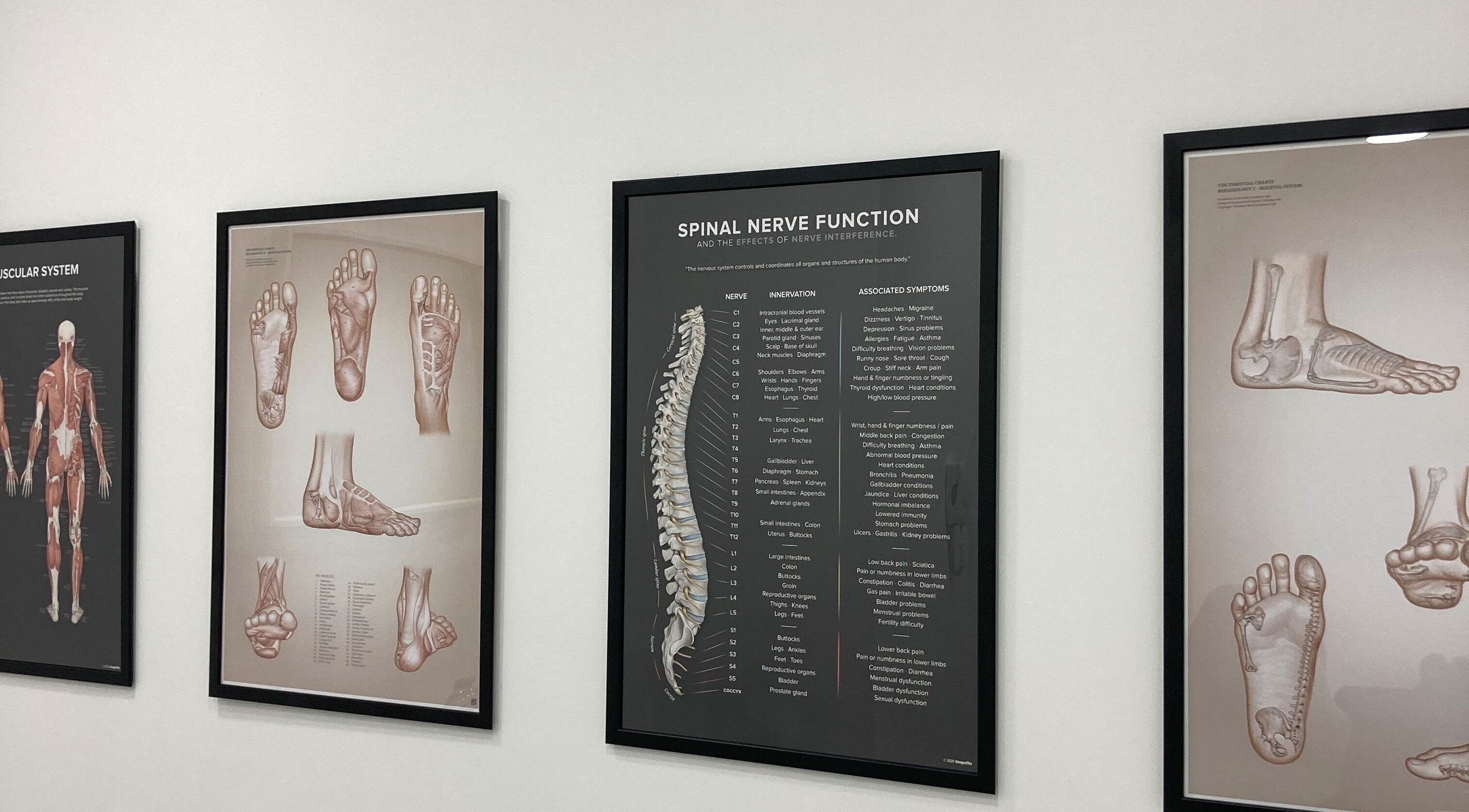 Anatomy posters at Reflexology Wimbledon, London, England, GB, showcasing foot and spine diagrams.