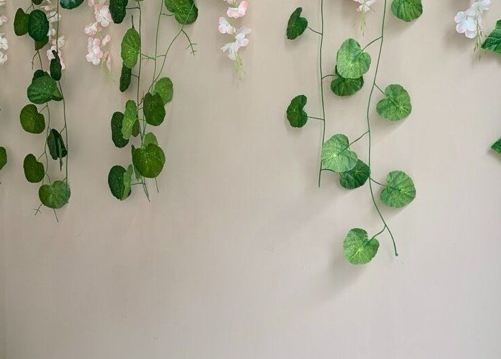 Decoración de plantas colgantes en Cataleya estética y spa, Fusagasugá, Cundinamarca, CO.