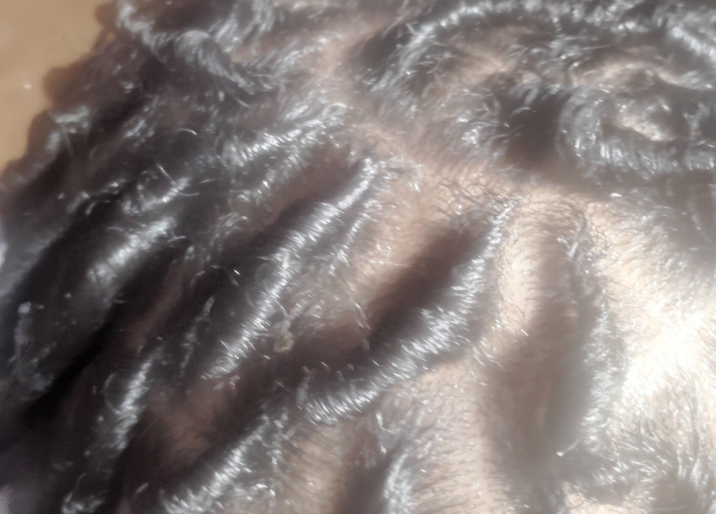 Close-up of sleek braids at Carolyn's Hair Fashion and Spa in Opelousas, Louisiana, US.
