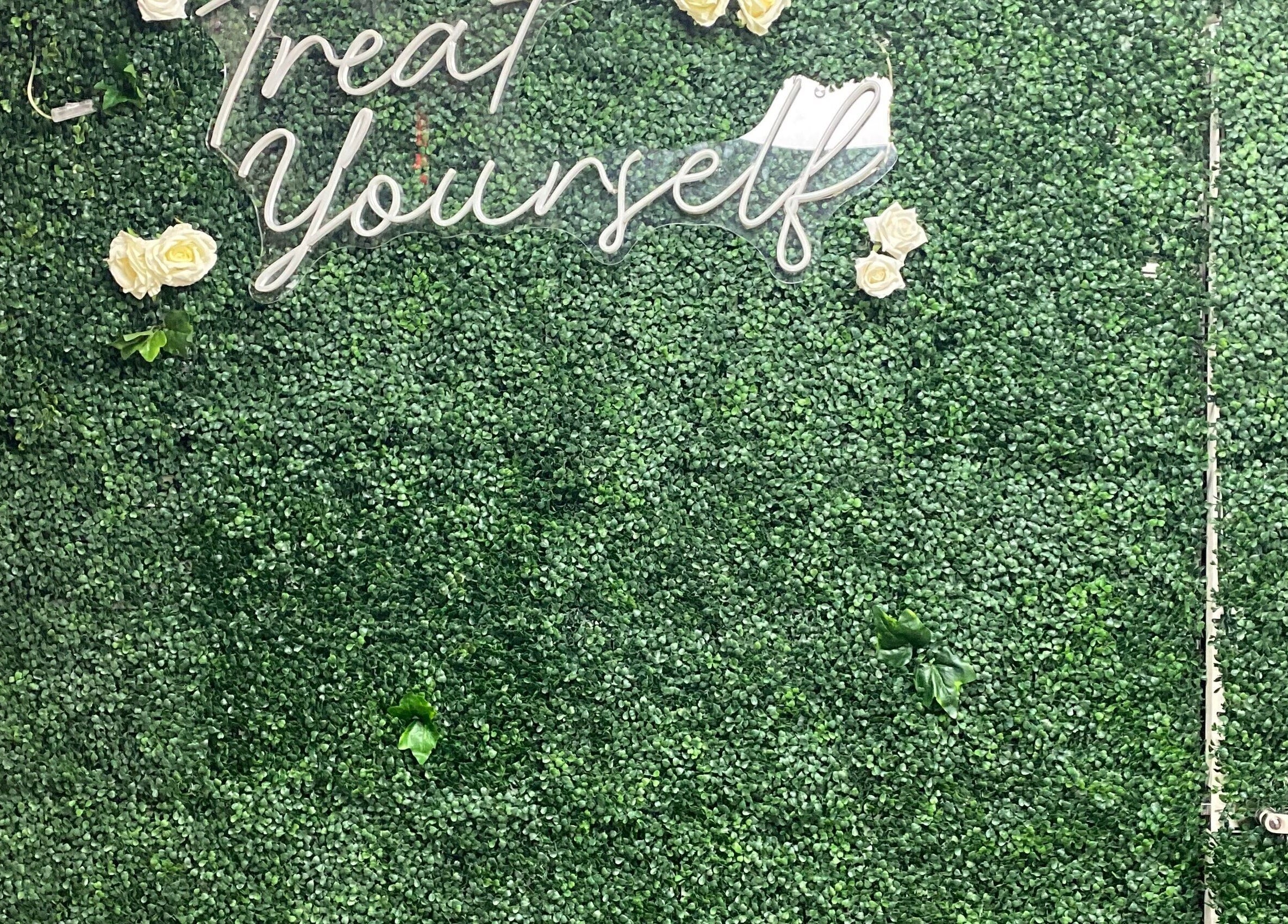 Lush green wall with 'Treat Yourself' sign at Silky Skin, Toronto, Ontario, CA.