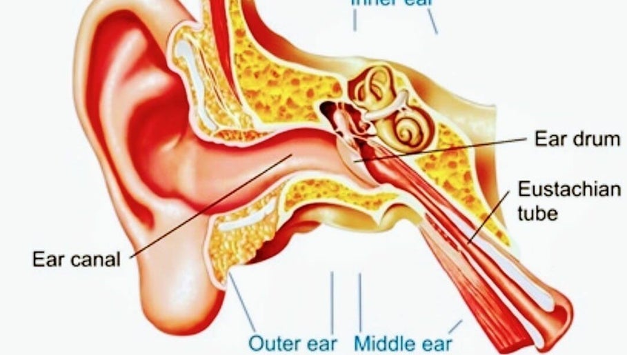 Derby Ear Clinic image 1