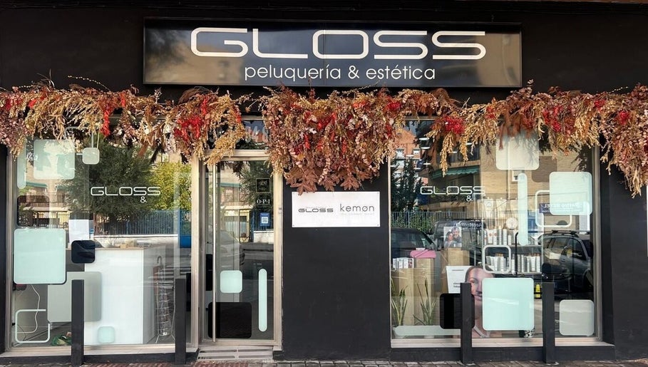 Image de Salon Gloss 1