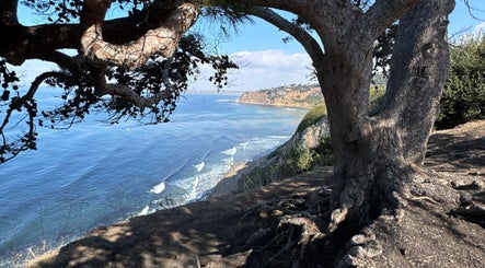 Scenic ocean view from Diamond in LA, Los Angeles, California, US with a tree framing the coastline.