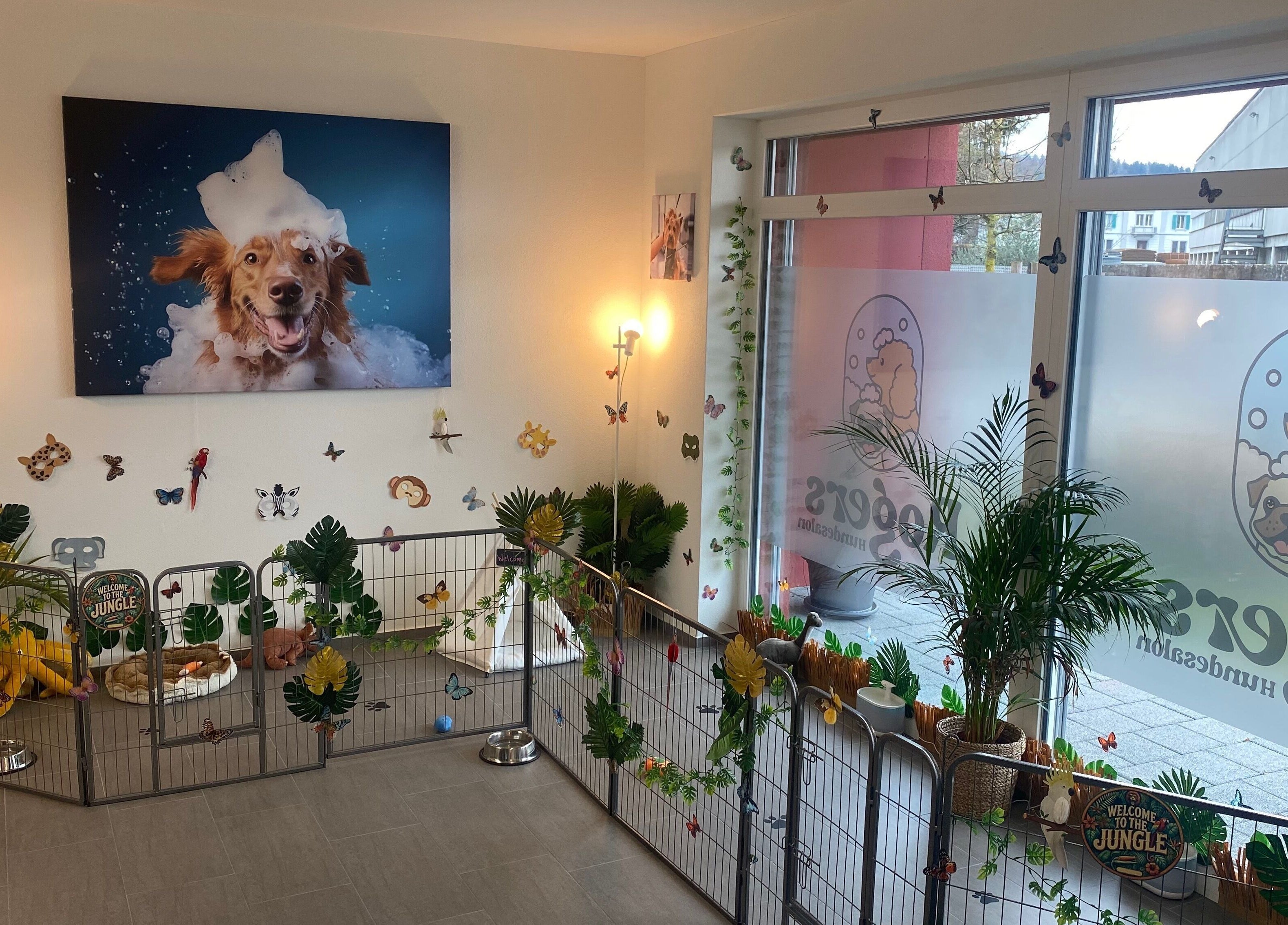 Rogers Hundesalon in Reinach, Aargau, CH, mit freundlicher Tierdekoration und Pflanzen im Empfangsbereich.