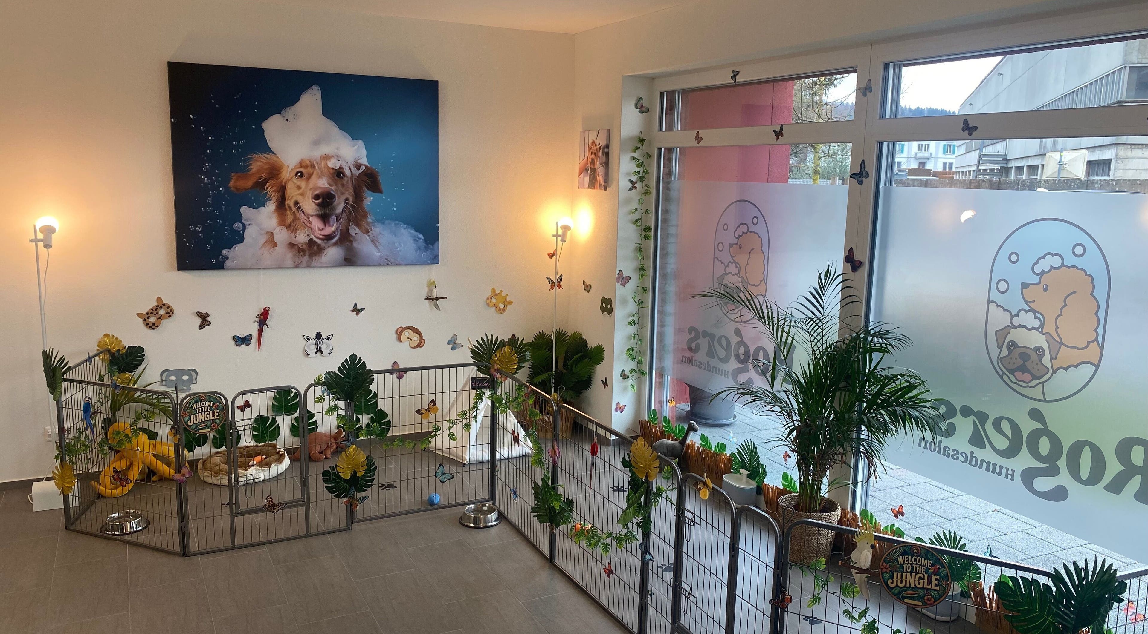 Rogers Hundesalon in Reinach, Aargau, CH, mit freundlicher Tierdekoration und Pflanzen im Empfangsbereich.