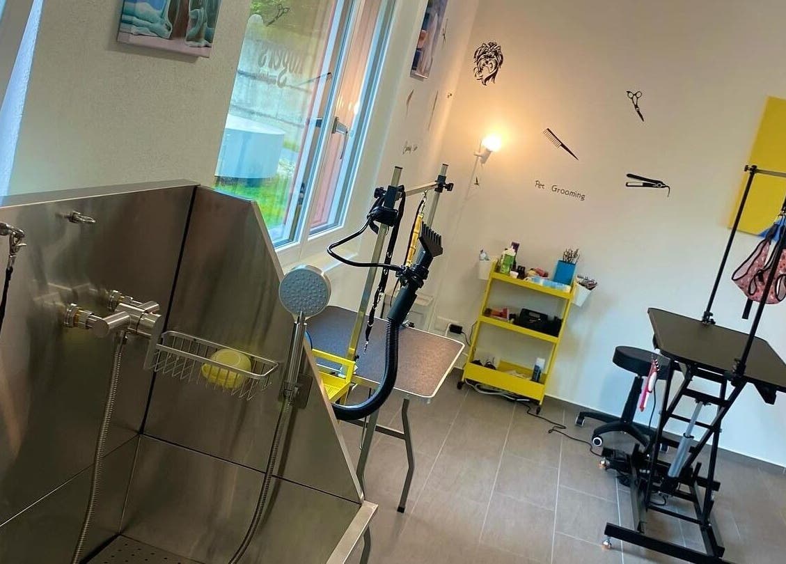 Innenansicht von Rogers Hundesalon in Reinach, Aargau, CH zeigt moderne Pflegeeinrichtungen.