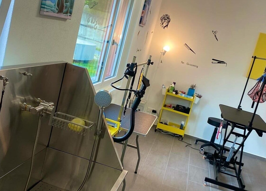 Innenansicht von Rogers Hundesalon in Reinach, Aargau, CH zeigt moderne Pflegeeinrichtungen.