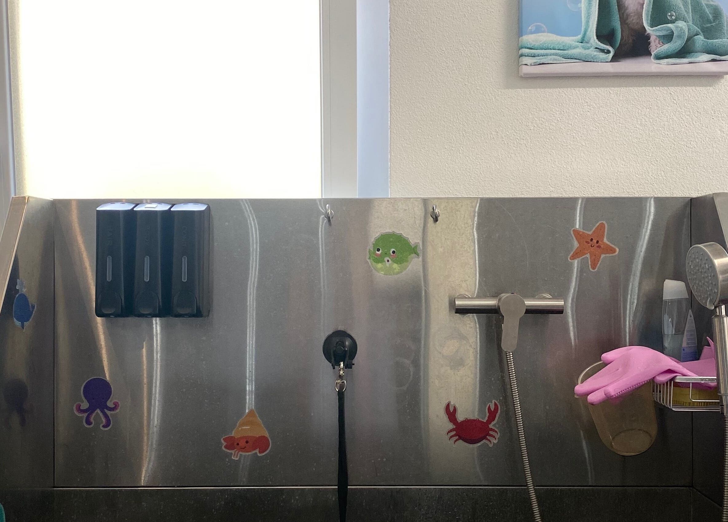 Hundewaschtisch bei Rogers Hundesalon, Reinach, Aargau, CH, mit bunten Aufklebern und Duschbrause.
