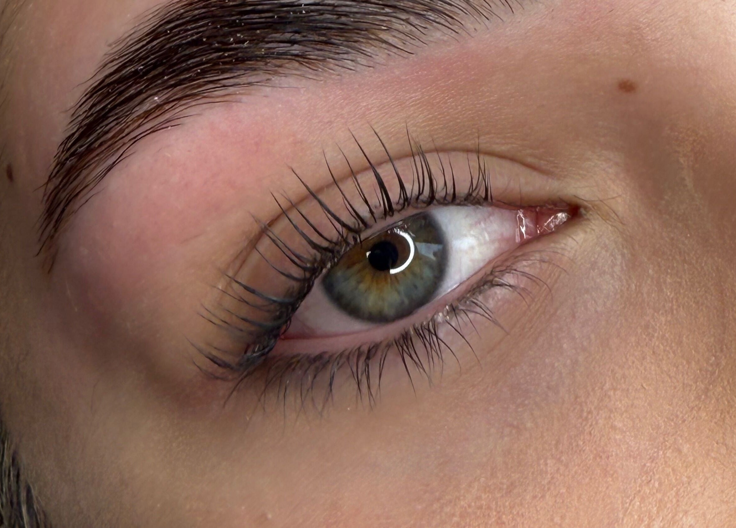 Close-up of beautifully styled eyebrow and lashes at GlowBrows Phi, Vancouver, British Columbia, CA.