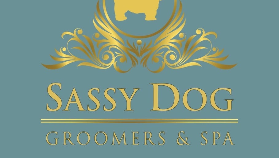 Sassy Dog Groomers Salon - Spa - Boutique image 1