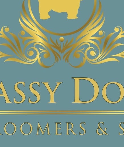 Sassy Dog Groomers Salon - Spa - Boutique image 2