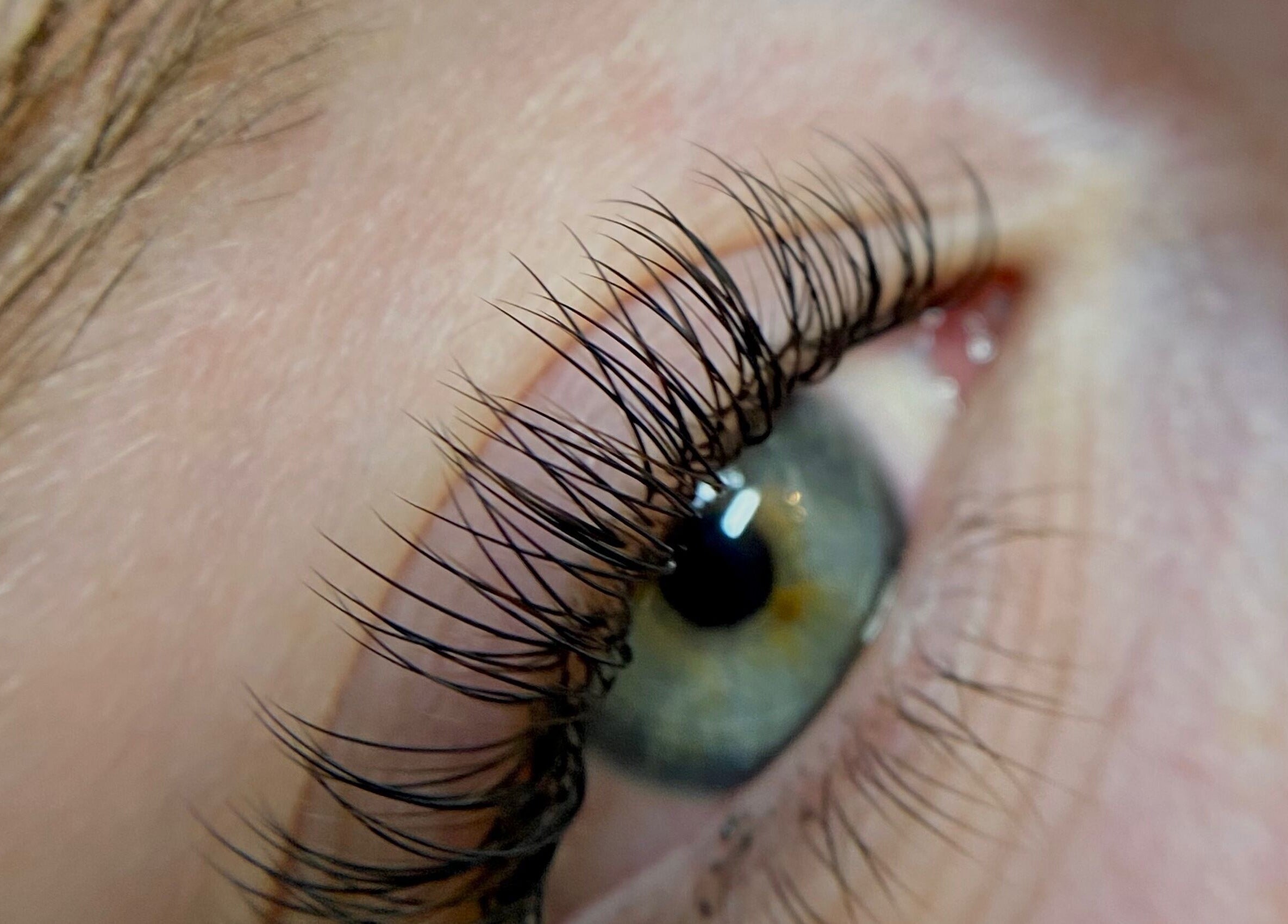 Enhanced eyelashes close-up at Amber Rose Beauty, Poole, England, GB. Lash beauty detail.